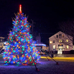 Mystic Knotwork Cottrell St and Mystic Holiday tree