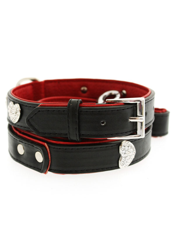 leather collar and leash set