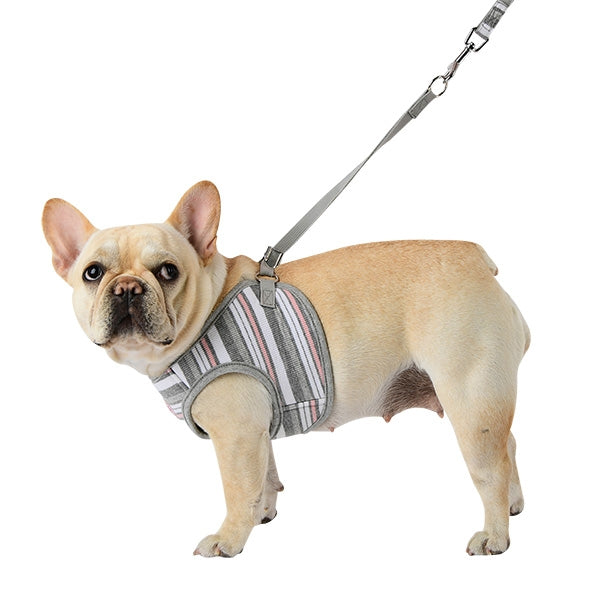 puppia dog harness