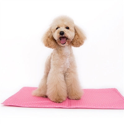 gel dog mat