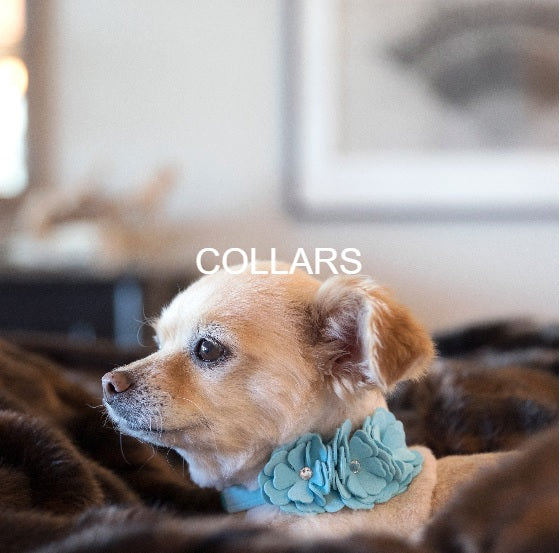 susan lanci dog collars