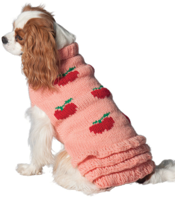 wool dog sweater