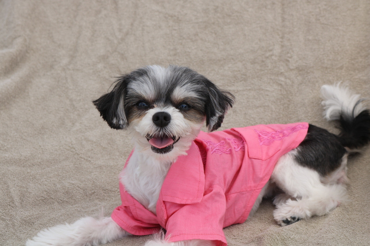 pink dog shirt