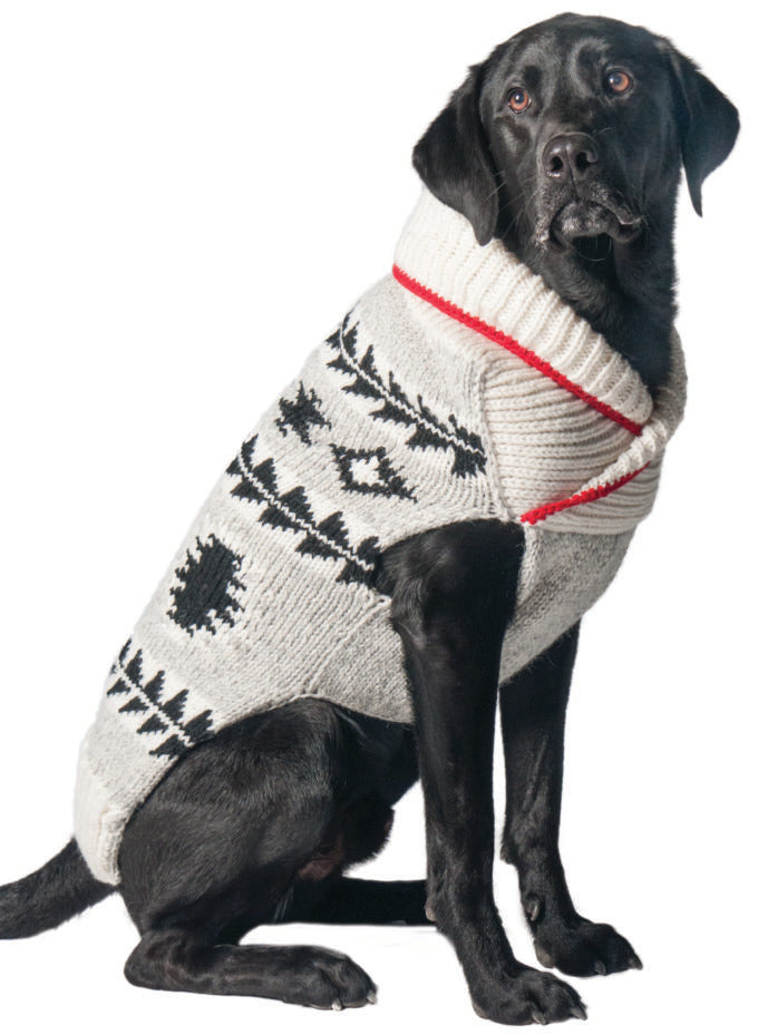 dog sweaters for labs