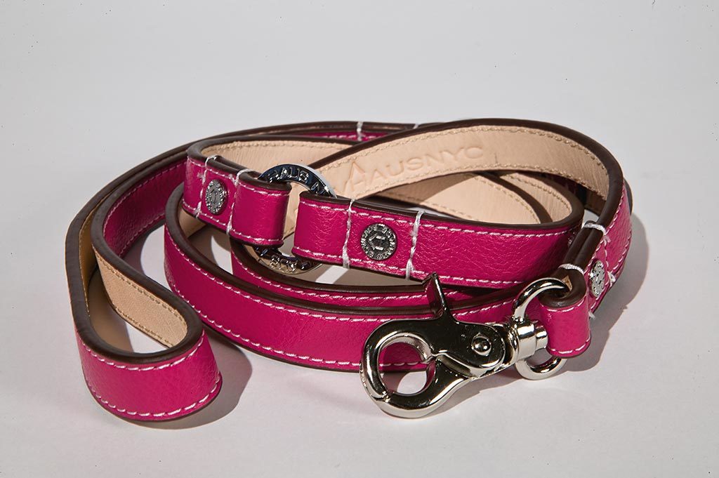 hot pink dog leash