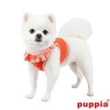 puppia vivien harness