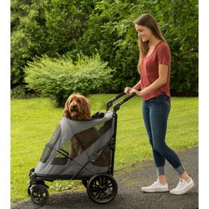 dog pushchair nz