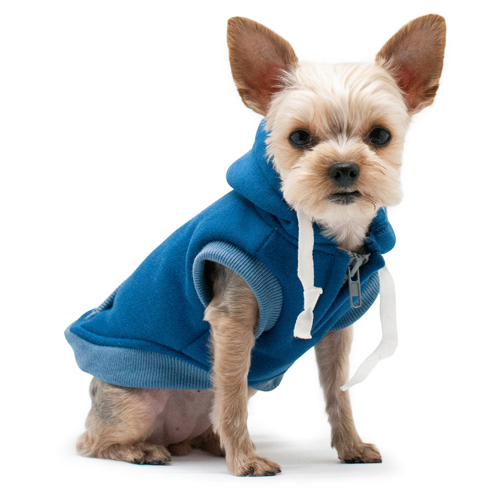 blue dog hoodie