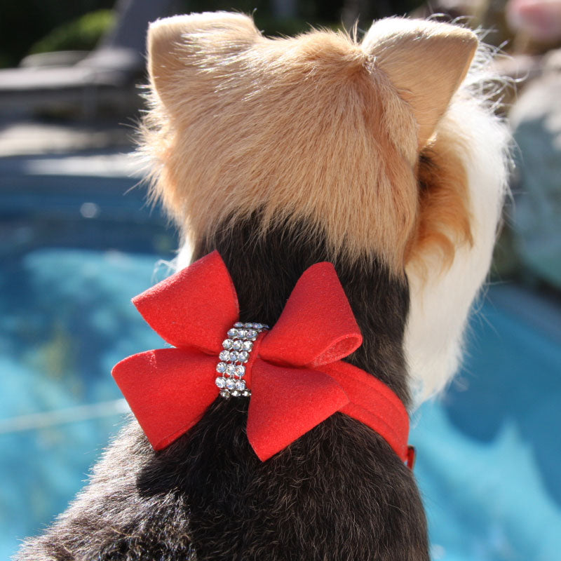 red bow dog collar