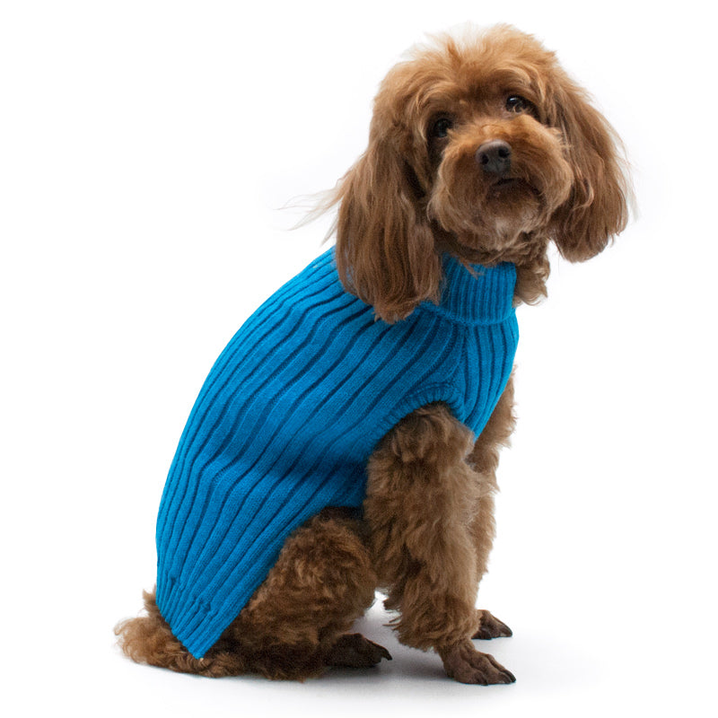 blue dog sweater
