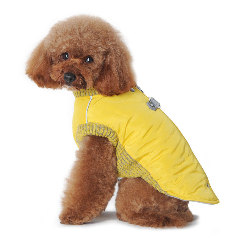 yellow dog coats