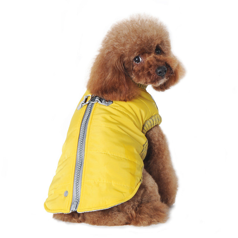 yellow dog coats