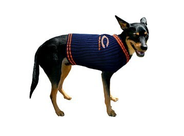 Chicago Bears Busy Block Dog Sweater, Size: M