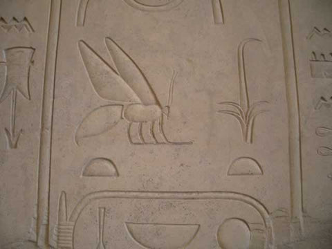 Honeybee hieroglyph, raw honey in ancient egypt 