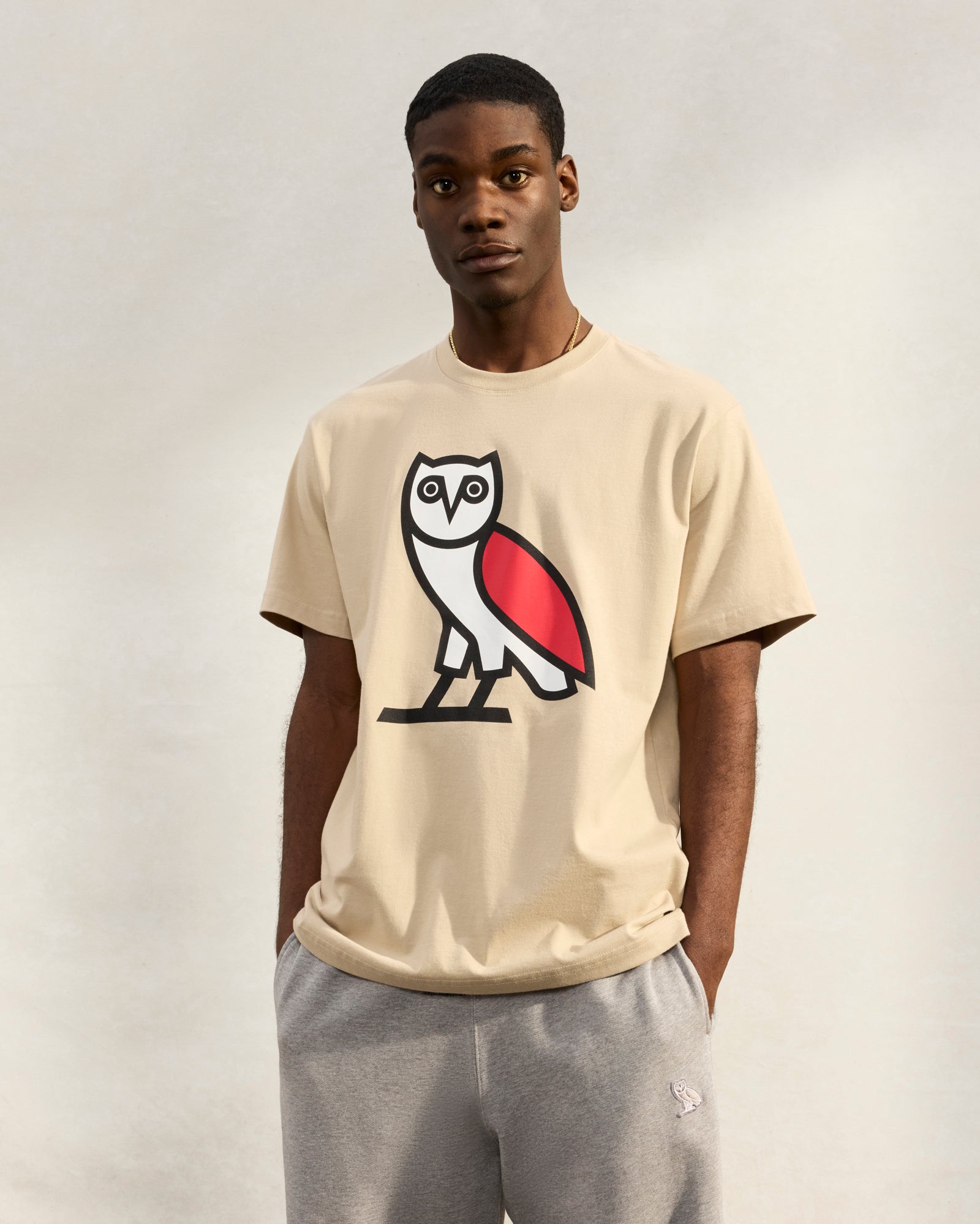 OG Wing Fill T-Shirt - Sand