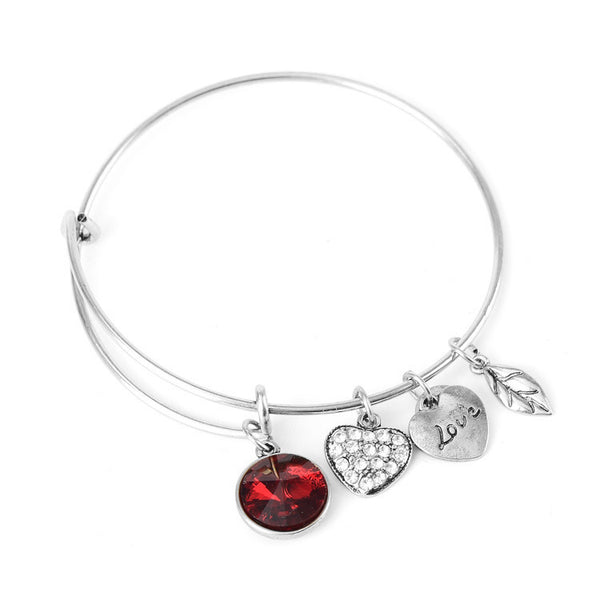 January Birthstone Charm Bangle – Ashley Jewels