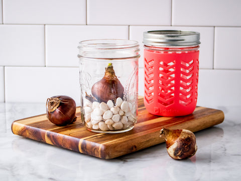 Two Mason jars are filled with white rocks and flower bulbs.