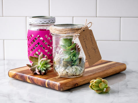 Two Mason jars, each with one succulent inside and decorated with twine, a handmade gift tag and a JarJackets silicone sleeve.  