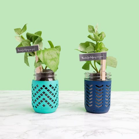 Two 16oz mason jars fitted with JarJackets silicone sleeves sit on a counter with basil plants planted inside them. Two clothespin tags read "Thanks for Helping Me Grow".