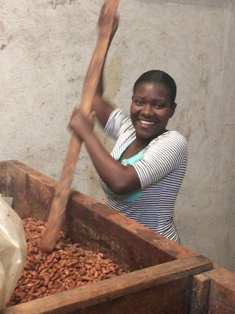 Cacao fermentation