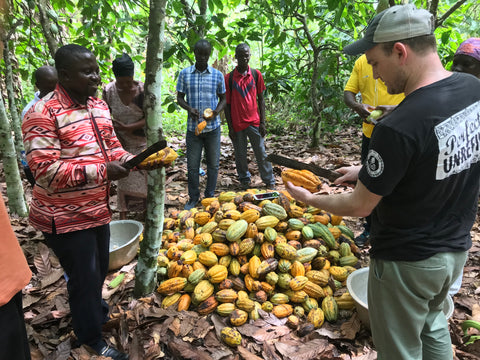 Association Manager Stephen shows me how to use a machete to cut open a cacao pod 
