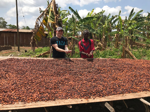  ABOCFA's Executive Committee Secretary Jacob and I examine some drying cacao beans 