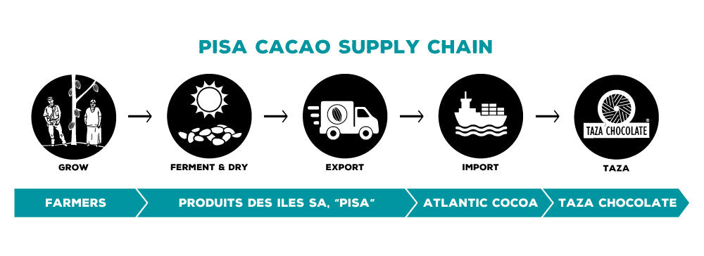 Taza Chocolate PISA Cacao Supply Chain