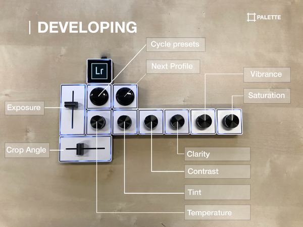 Palette Developing Profile for Lightroom