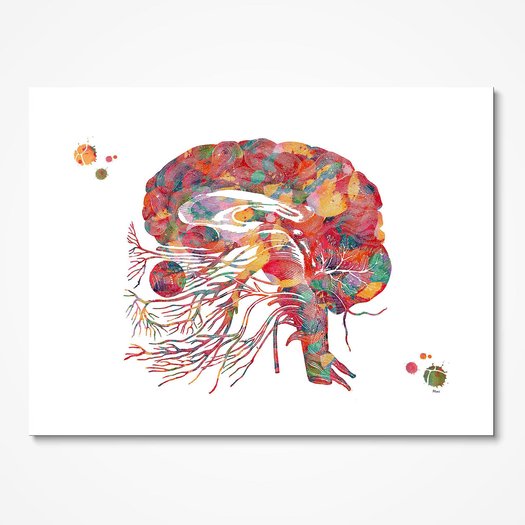 neuroscience brain art