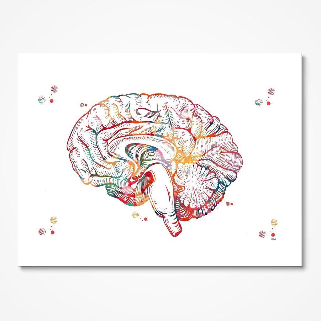 neuroscience brain art