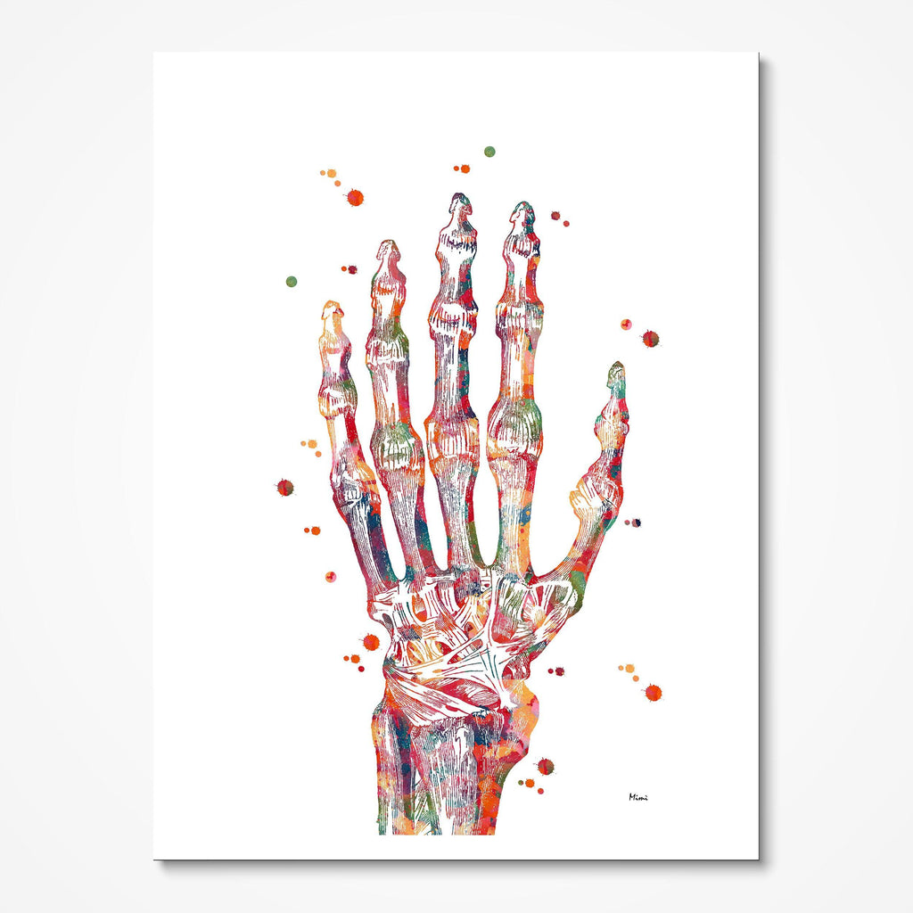 Human skeleton, hand and wrist bones, close up available as Framed Prints,  Photos, Wall Art and Photo Gifts