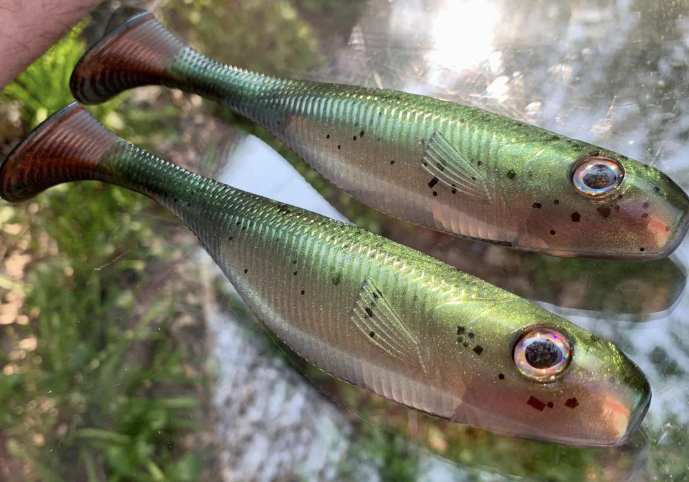 Tsunami and Coastal Colorshift on Fishing Baits