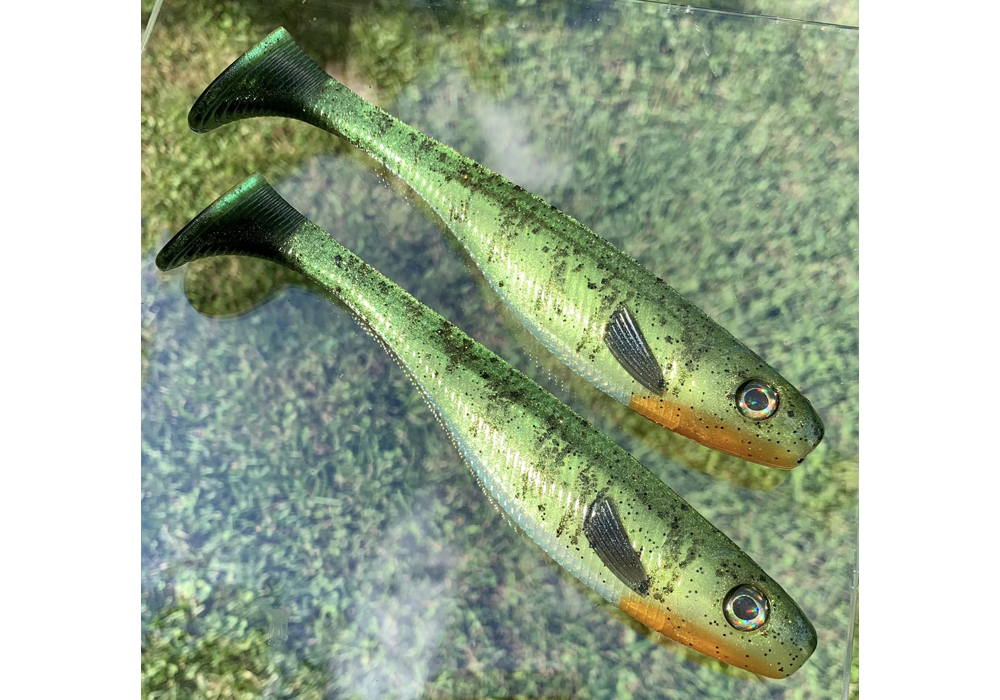 Coastal Colorshift Pearl on Fishing Baits