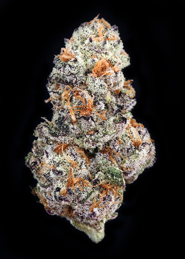Pros and cons of Peanut Butter Breath feminized strain
