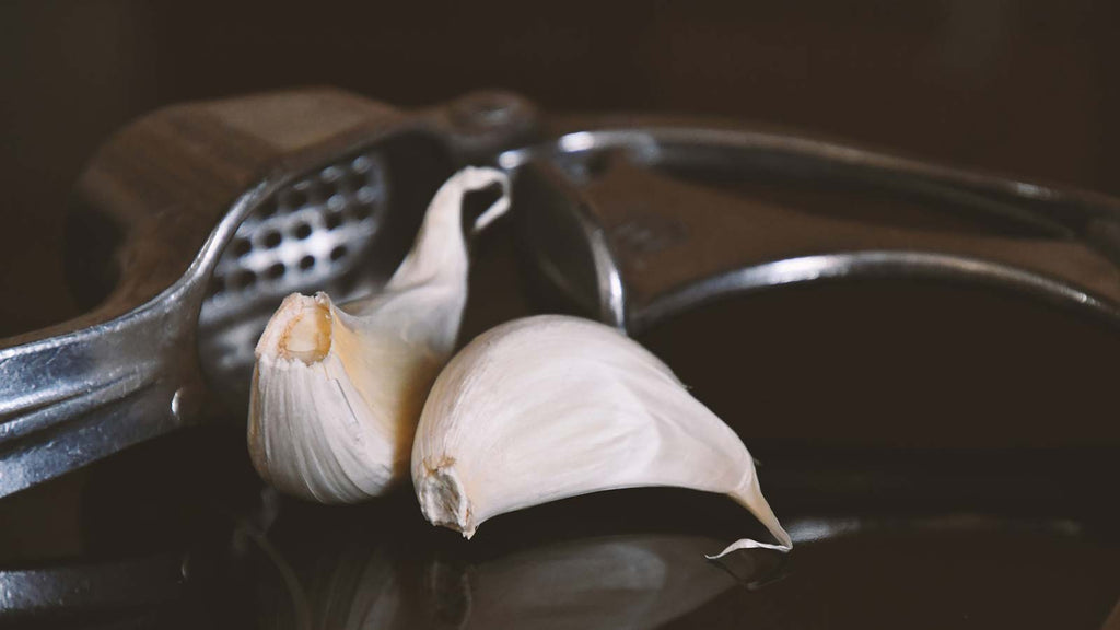 Best Garlic Press for Recipes