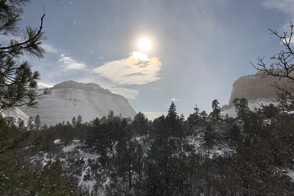 Zion National Park Winter 2018