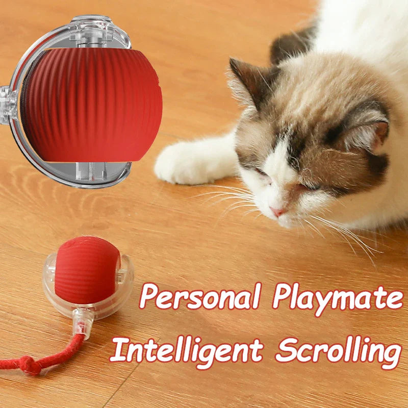 Automatic Rolling Ball Cat Toy - Interactive Mouse Imitation for Cat Training - Image 6