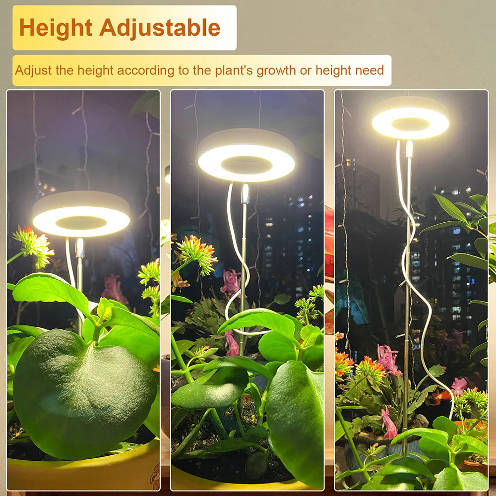 Full Spectrum Grow Light Telescopic Indoor LED Lamp - Image 15