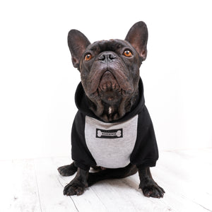 French Bulldog Hoodie Bare Bones Pet Gear