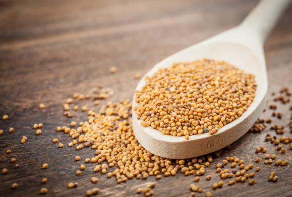 What is a Mustard Seed | RudiGourmand