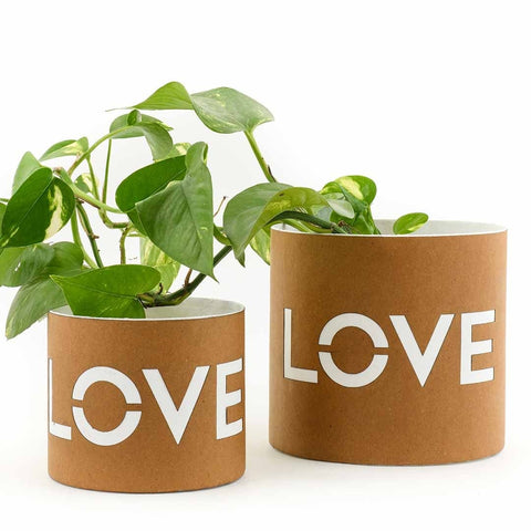 Paper Pottery Planter Pot