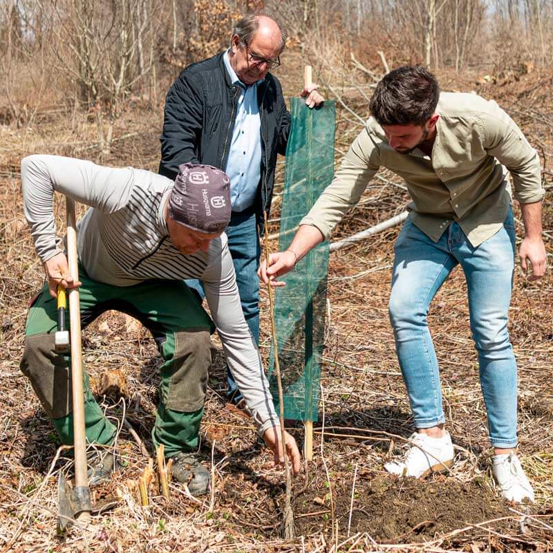 woody-Holzschuhe-Chefs-beim-Bäumepflanzen