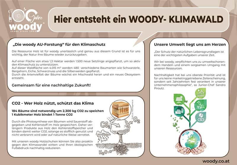 Infotafel Au-Forstung