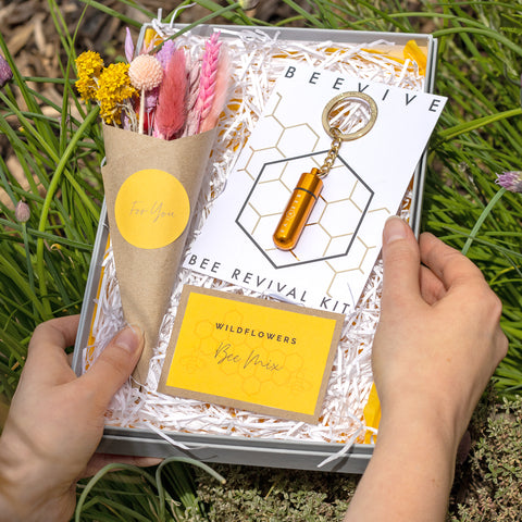 Summer Bee Gift with dried flowers, seeds and Beevive 