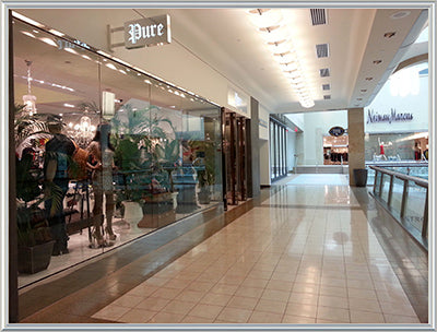 Pure Atlanta at Lenox Square Mall