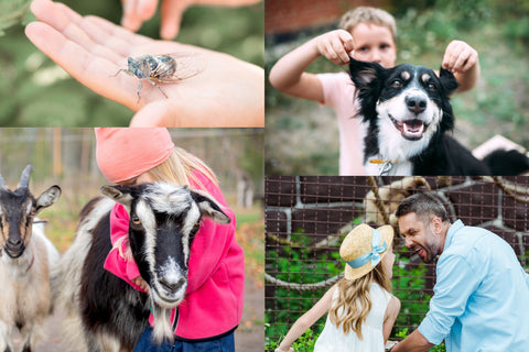 Photos of kids and animals including a child's had holding a winged insect, a boy playing with his dog's ears, a girl hugging a goat, and a daughter and father enjoying the zoo together