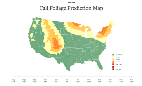 Use a Map to Find Perfect Fall Foliage