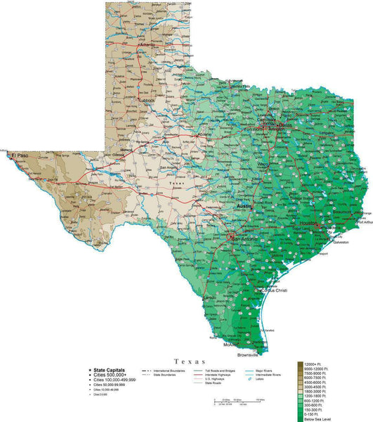 Texas Contour Map in Adobe Illustrator Digital Vector Format