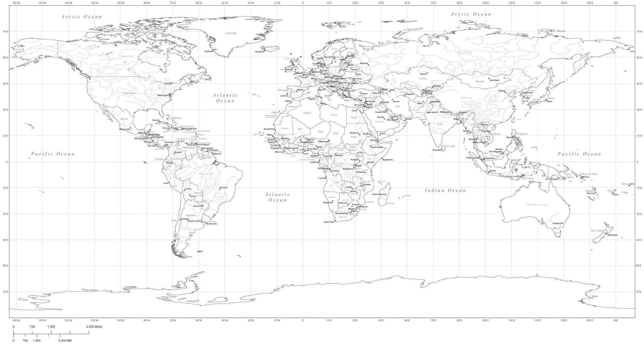 35 X 18 Inch Black & White World Map Plate Carrée