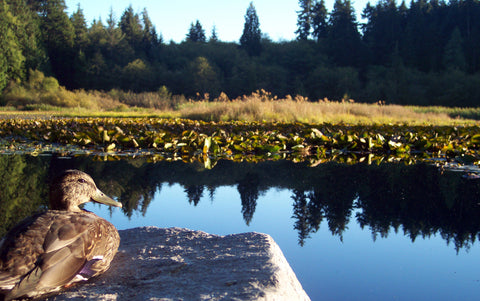 Beaver Lake Nature Center